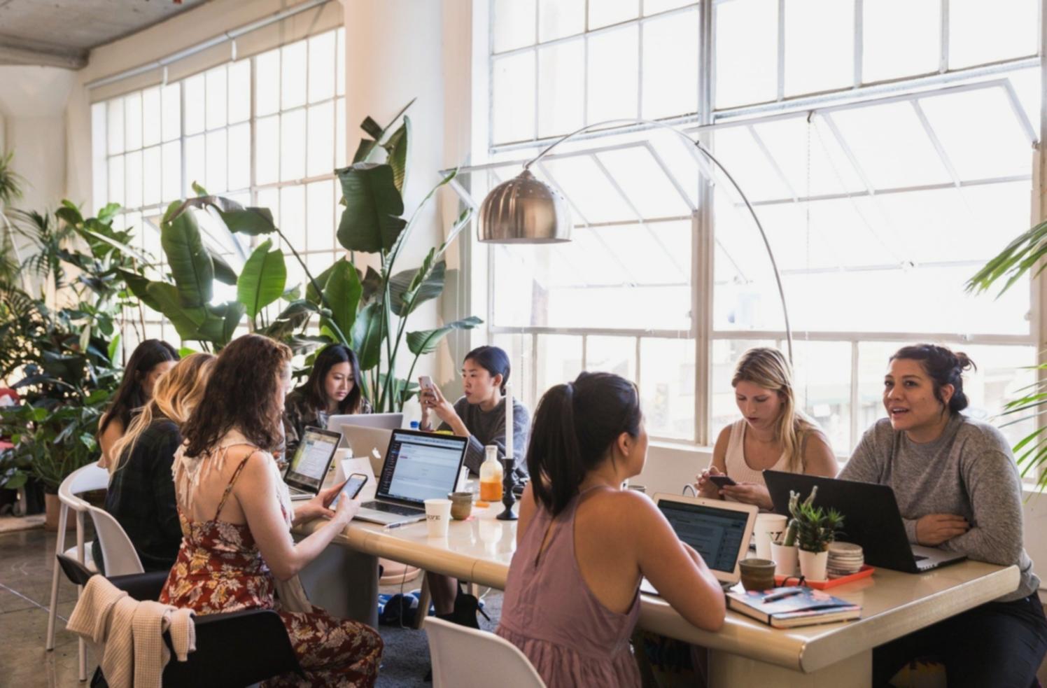 Praktisches Lernen mit sofortigem Feedback